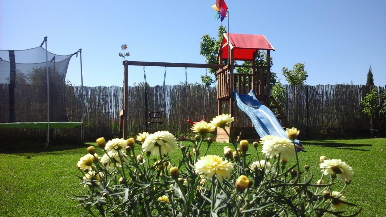 Homestay Monica Dwuosobowe Tylko Dla Doroslych
